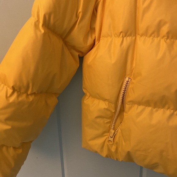 Bacon Yellow Puffer - Picture 5 of 7